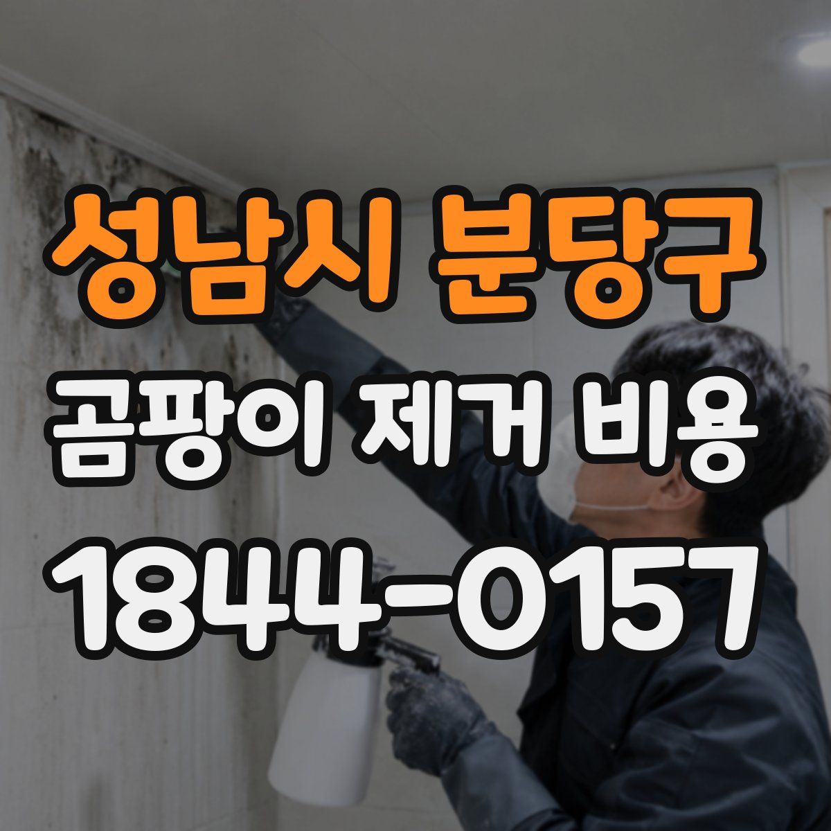 성남시 분당구 곰팡이 제거 비용