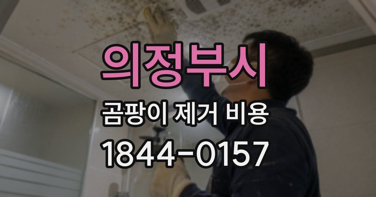 의정부시 곰팡이 제거 비용