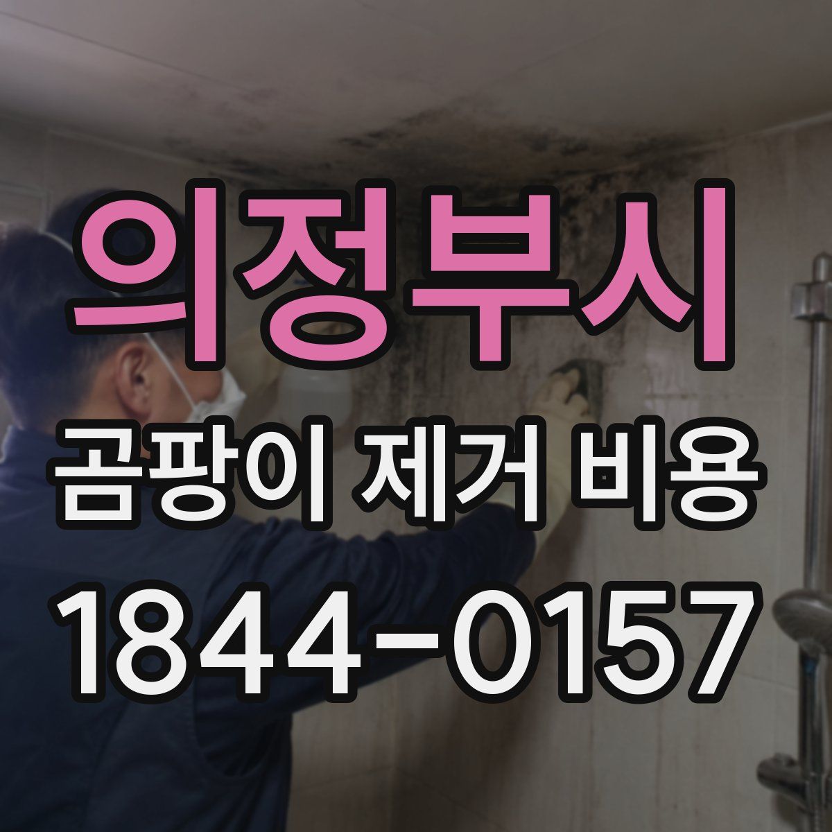 의정부시 곰팡이 제거 비용