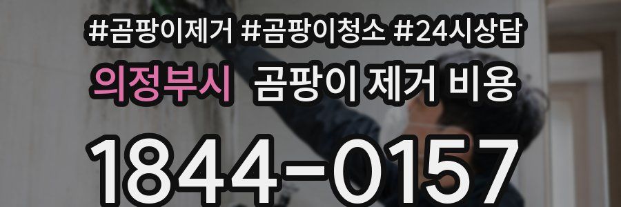 의정부시 곰팡이 제거 비용