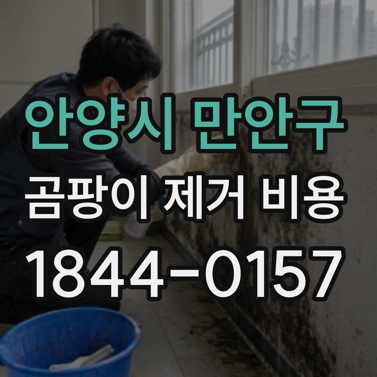 안양시 만안구 곰팡이 제거 비용 단열 보수까지 포함되는 경우