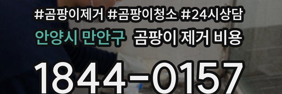 안양시 만안구 곰팡이 제거 비용