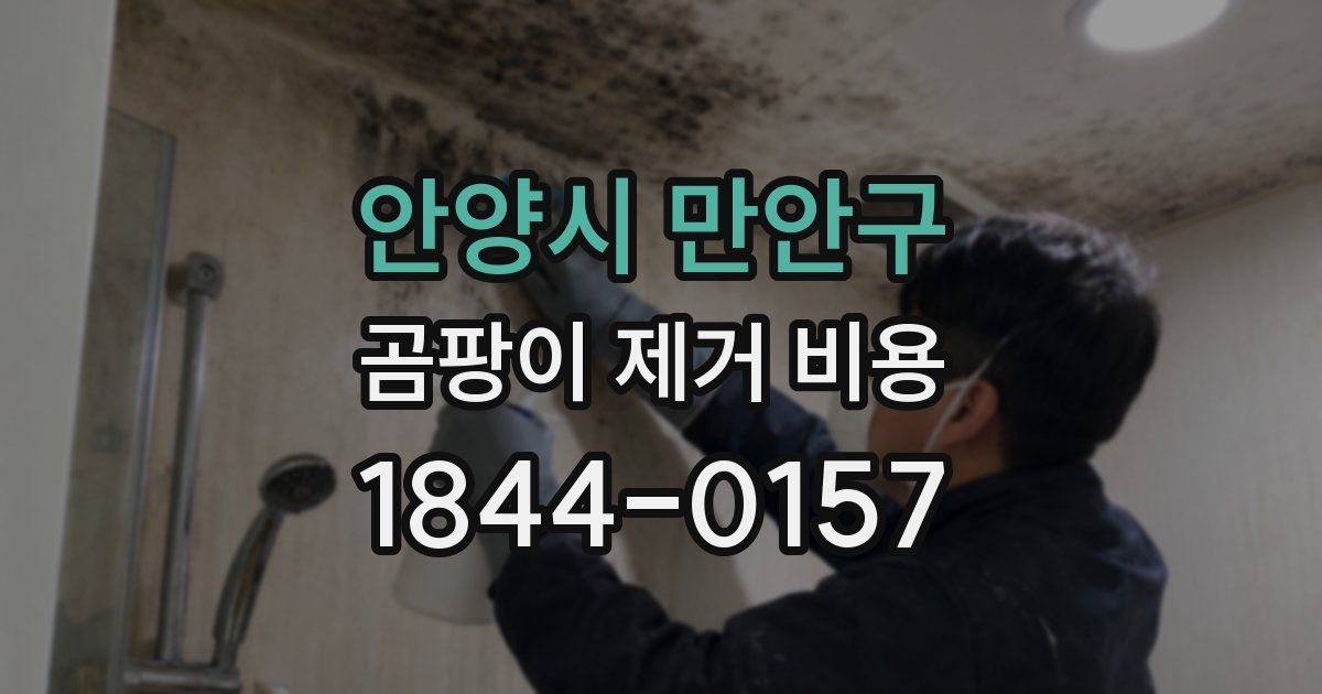 안양시 만안구 곰팡이 제거 비용