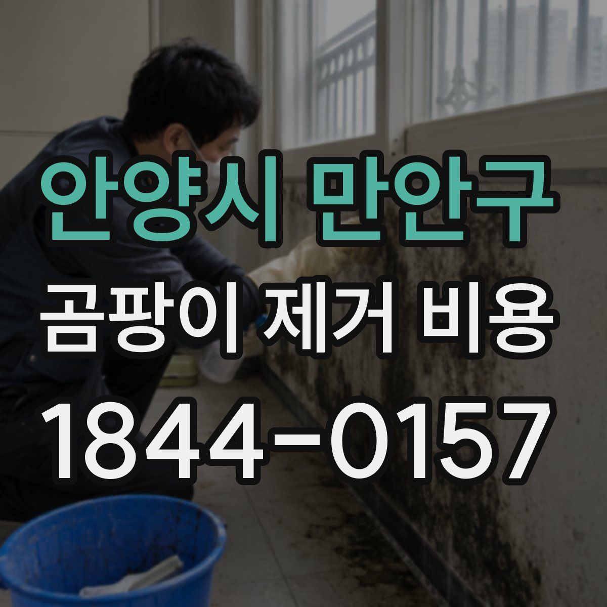 안양시 만안구 곰팡이 제거 비용