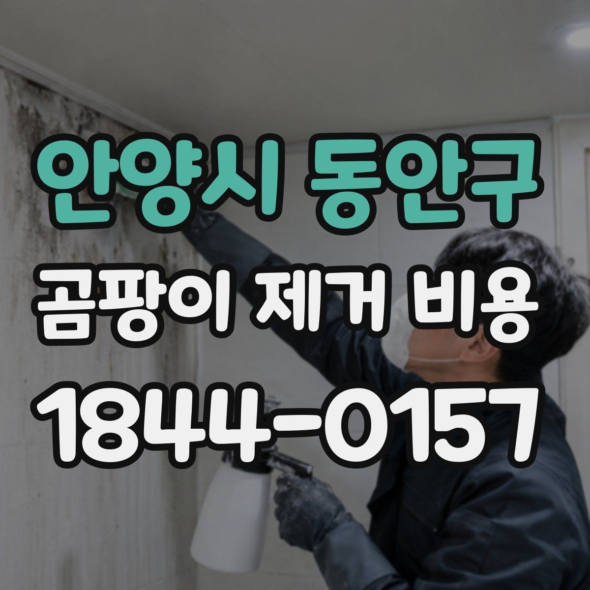 안양시 동안구 곰팡이 제거 비용 보험 처리 대상 여부를 먼저 따져야 하는 이유