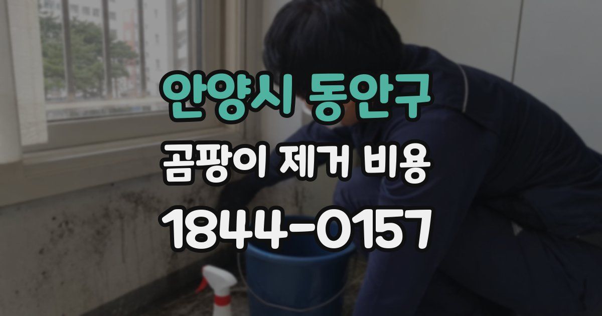 안양시 동안구 곰팡이 제거 비용
