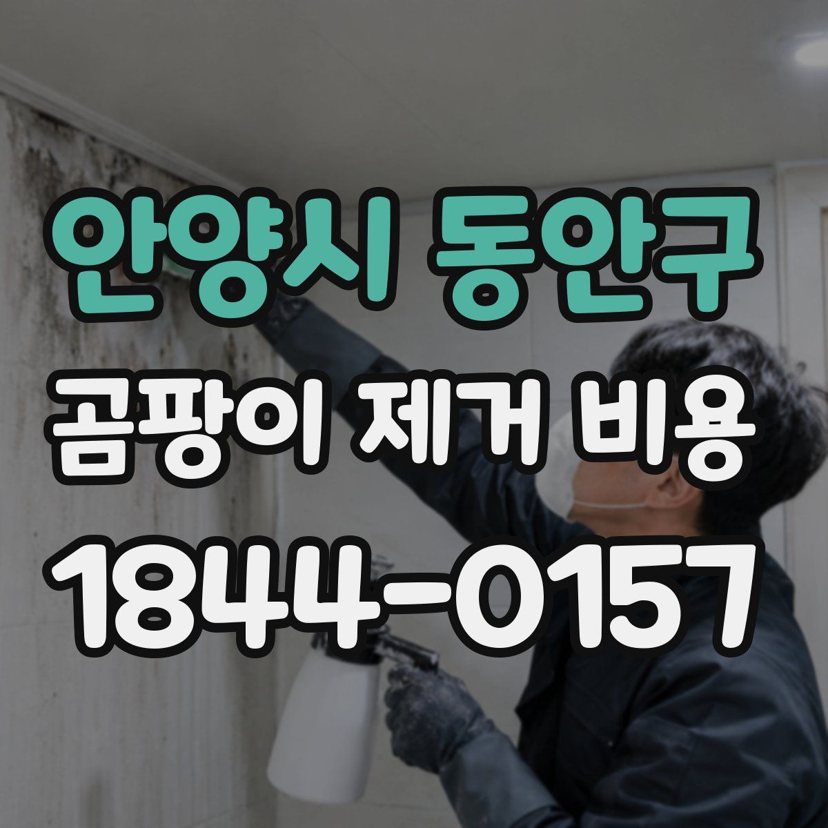 안양시 동안구 곰팡이 제거 비용