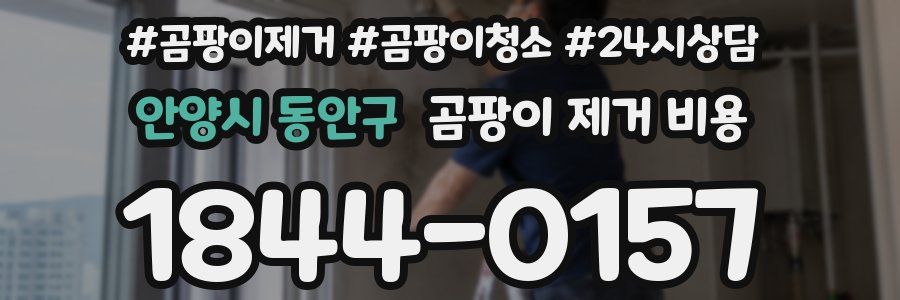 안양시 동안구 곰팡이 제거 비용