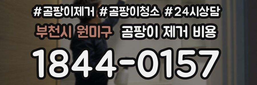 부천시 원미구 곰팡이 제거 비용