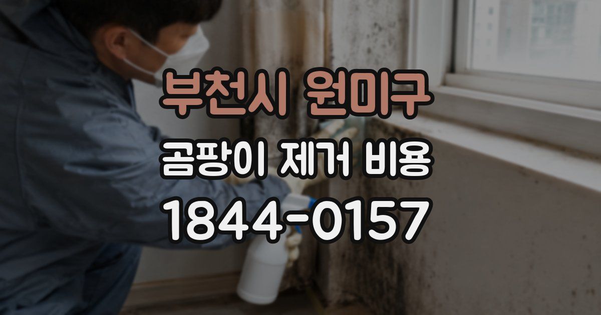부천시 원미구 곰팡이 제거 비용