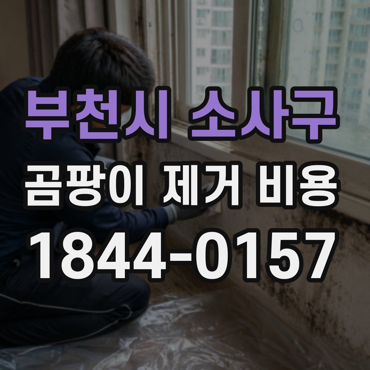 부천시 소사구 곰팡이 제거 비용