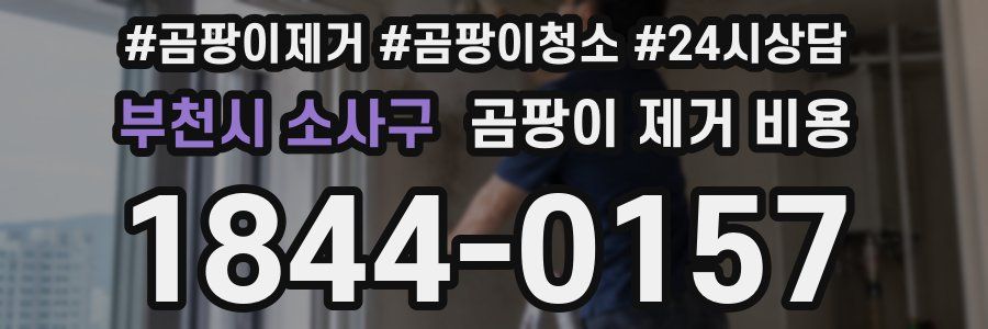부천시 소사구 곰팡이 제거 비용
