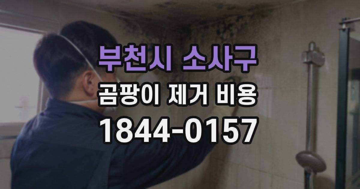 부천시 소사구 곰팡이 제거 비용