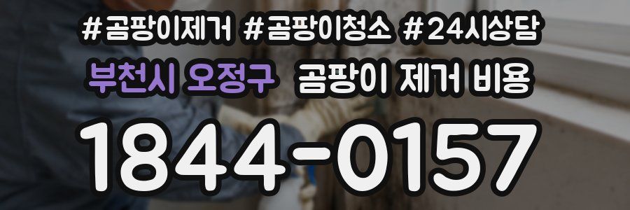 부천시 오정구 곰팡이 제거 비용