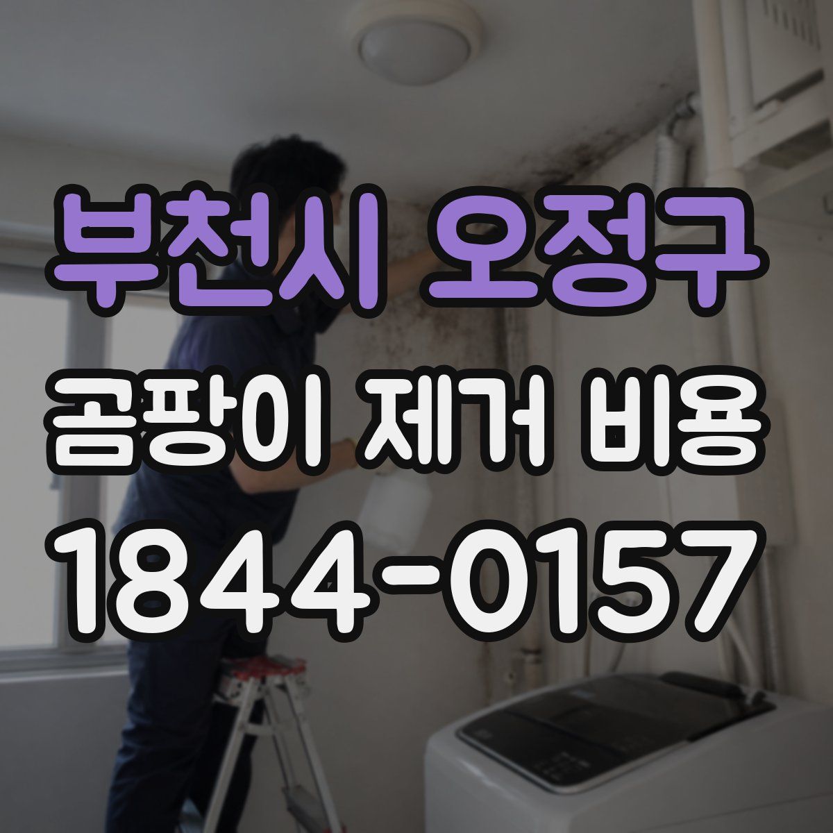 부천시 오정구 곰팡이 제거 비용