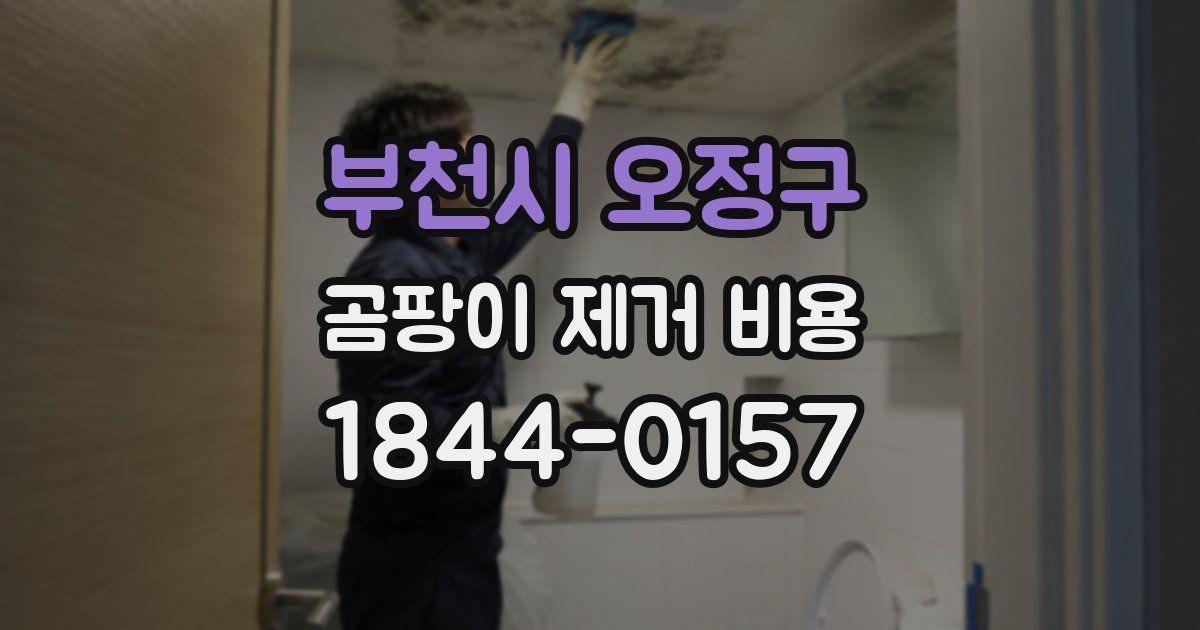 부천시 오정구 곰팡이 제거 비용