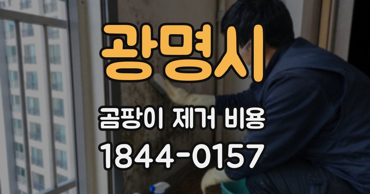 광명시 곰팡이 제거 비용