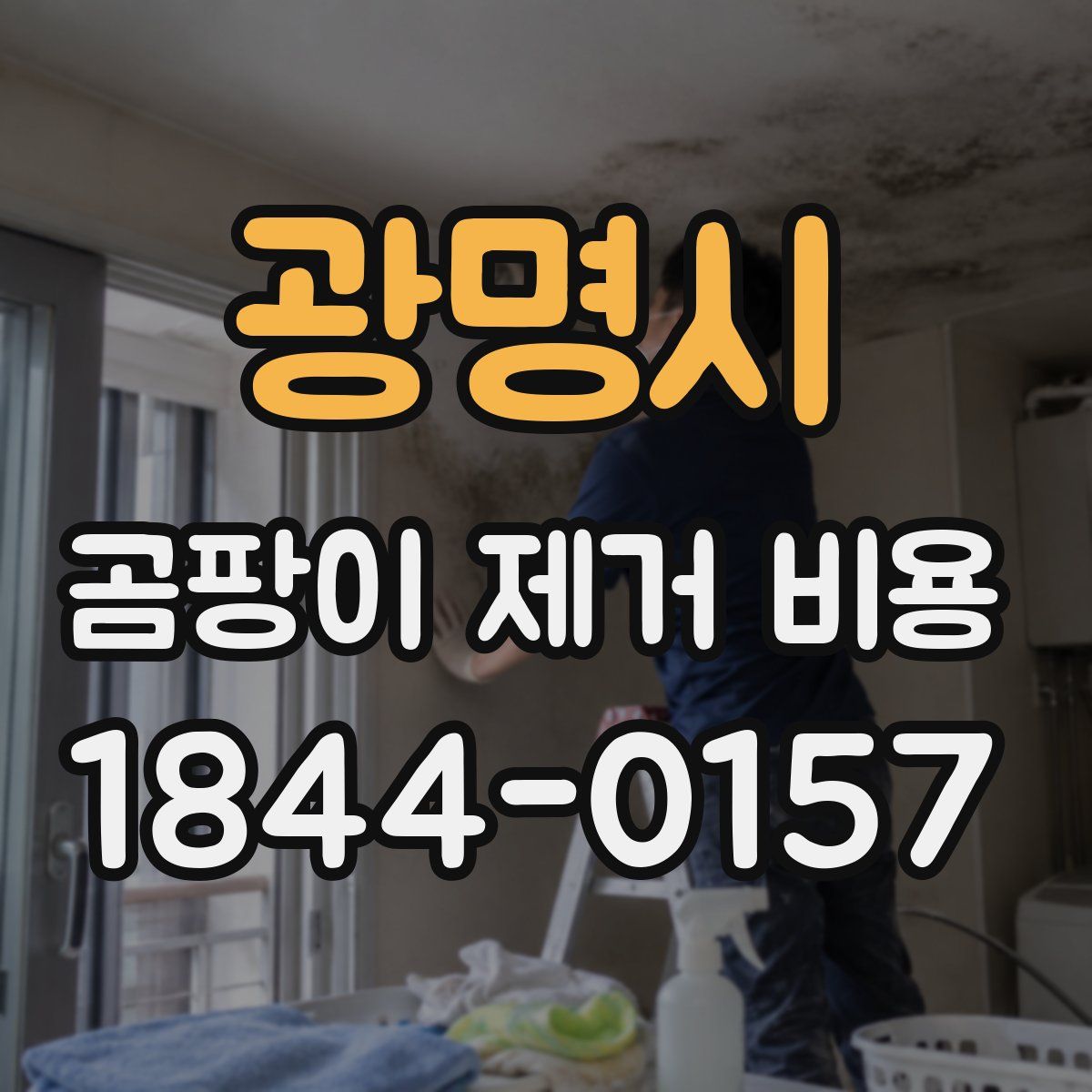 광명시 곰팡이 제거 비용