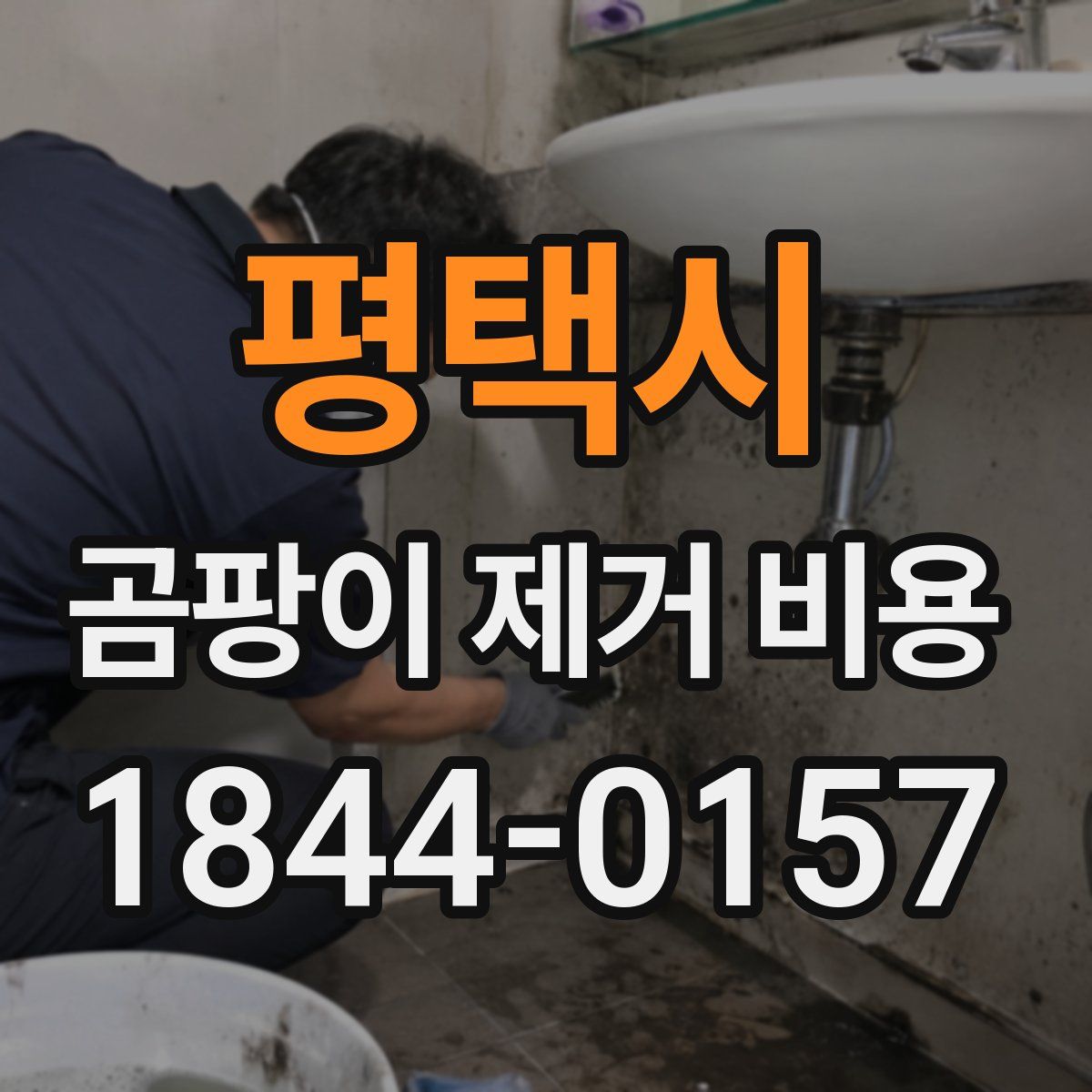 평택시 곰팡이 제거 비용