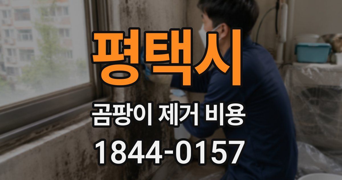 평택시 곰팡이 제거 비용