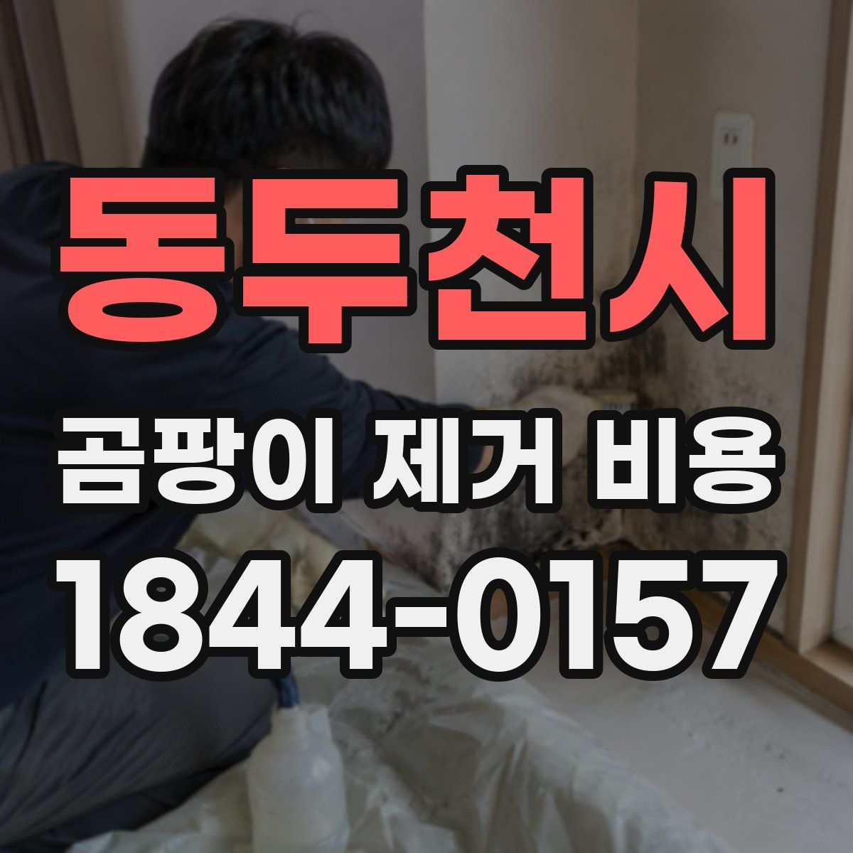 동두천시 곰팡이 제거 비용