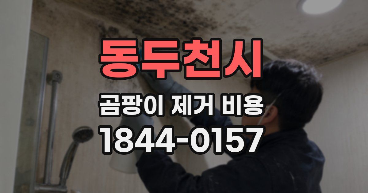 동두천시 곰팡이 제거 비용