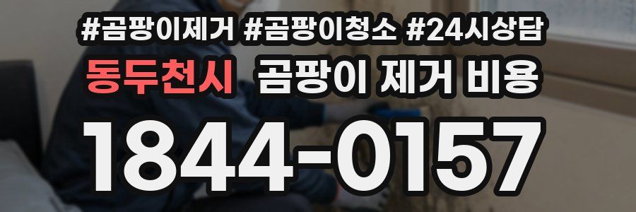 동두천시 곰팡이 제거 비용