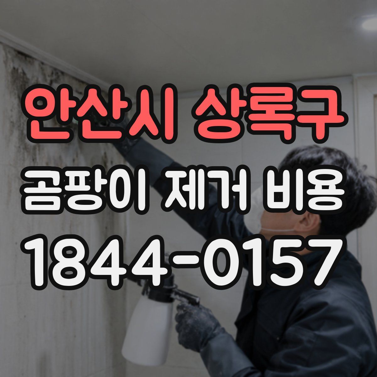 안산시 상록구 곰팡이 제거 비용