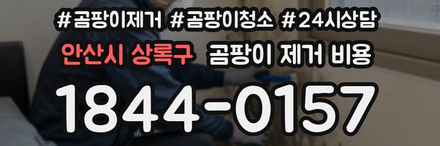 안산시 상록구 곰팡이 제거 비용