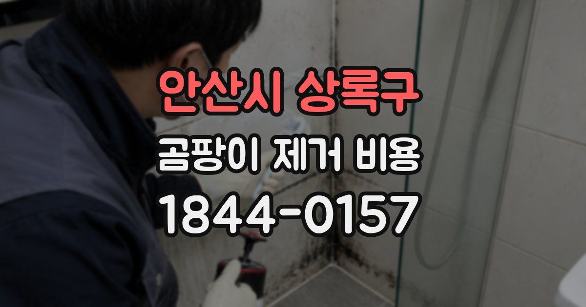 안산시 상록구 곰팡이 제거 비용