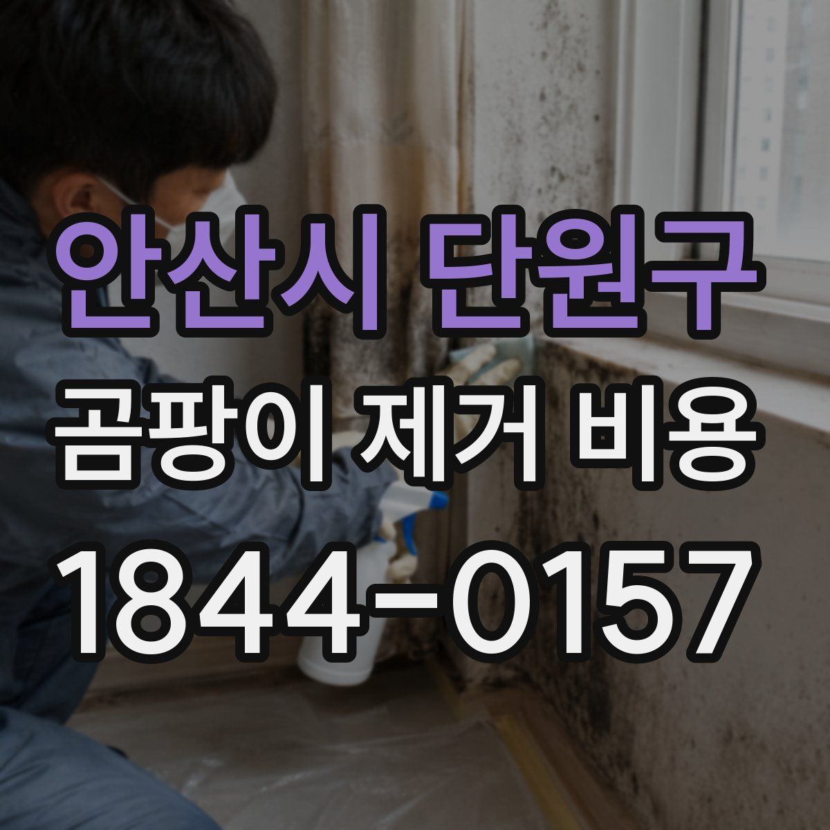 안산시 단원구 곰팡이 제거 비용