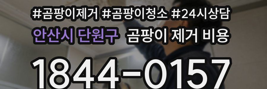 안산시 단원구 곰팡이 제거 비용