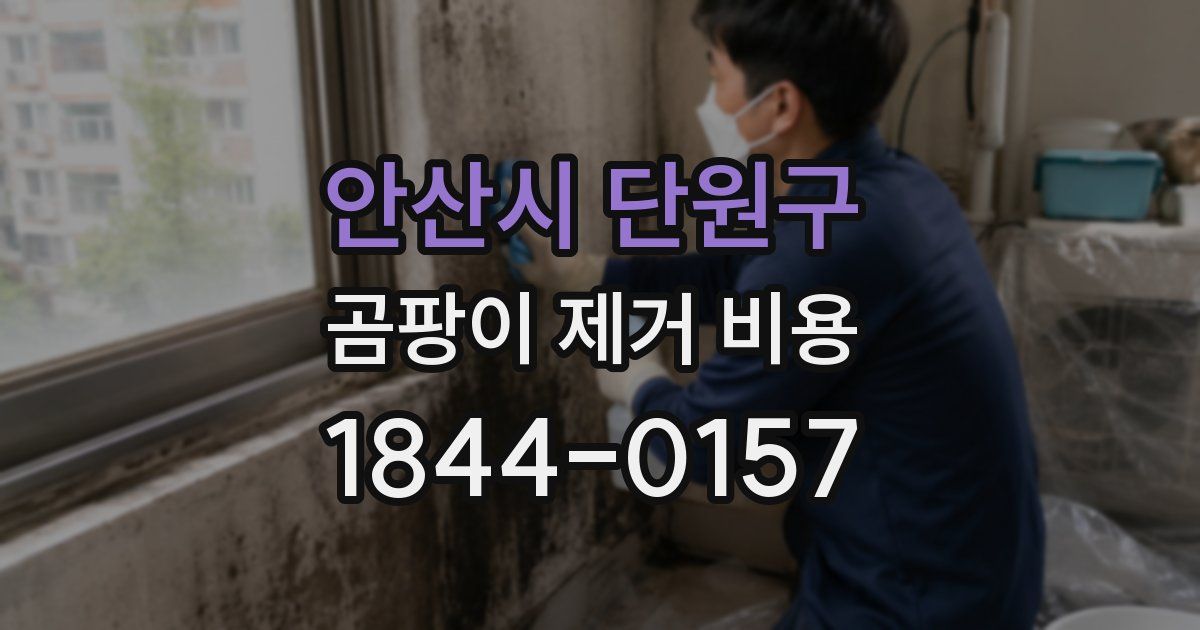 안산시 단원구 곰팡이 제거 비용