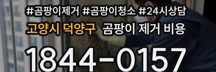 고양시 덕양구 곰팡이 제거 비용