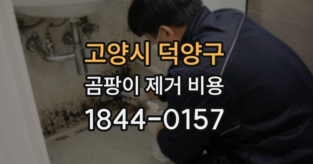 고양시 덕양구 곰팡이 제거 비용