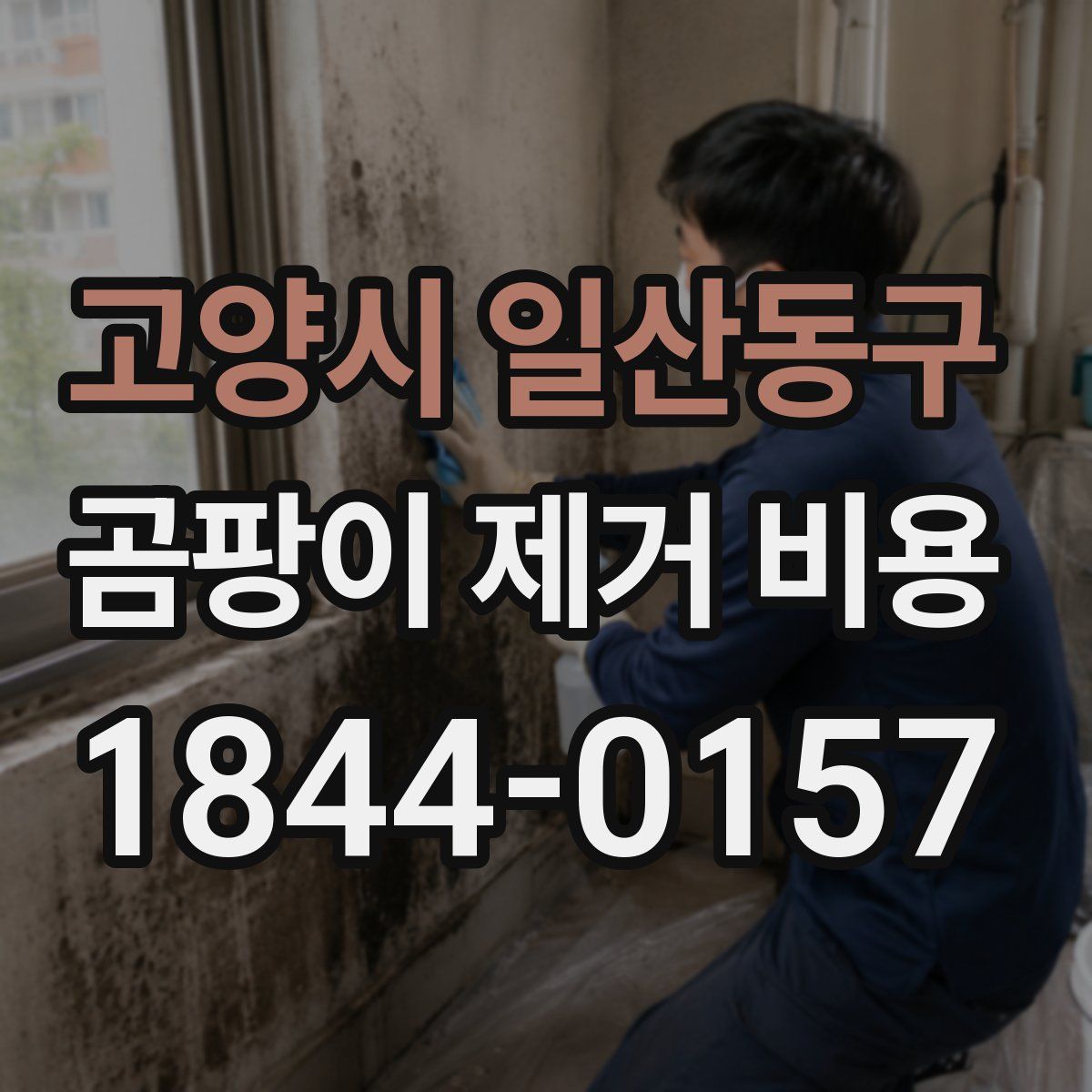 고양시 일산동구 곰팡이 제거 비용