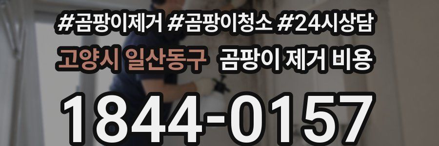 고양시 일산동구 곰팡이 제거 비용