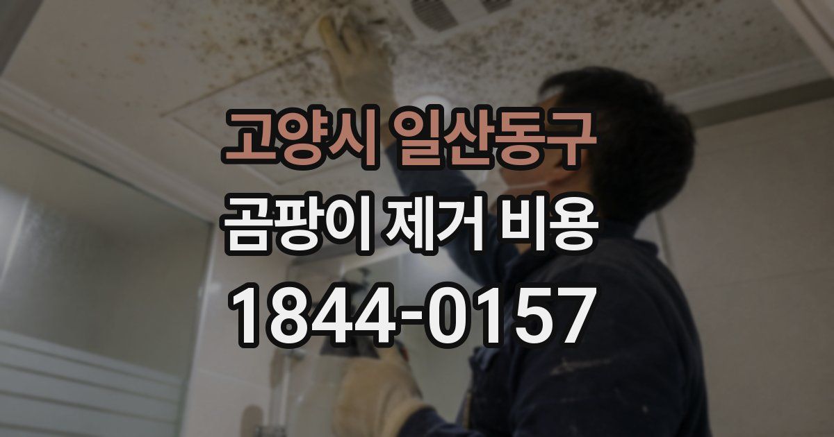 고양시 일산동구 곰팡이 제거 비용
