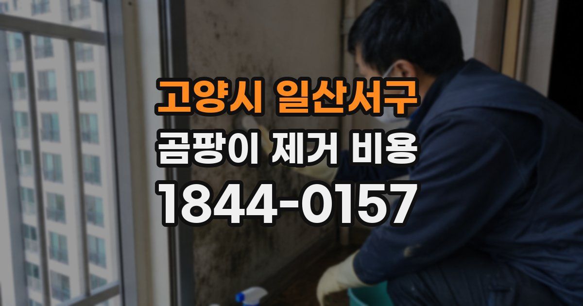고양시 일산서구 곰팡이 제거 비용