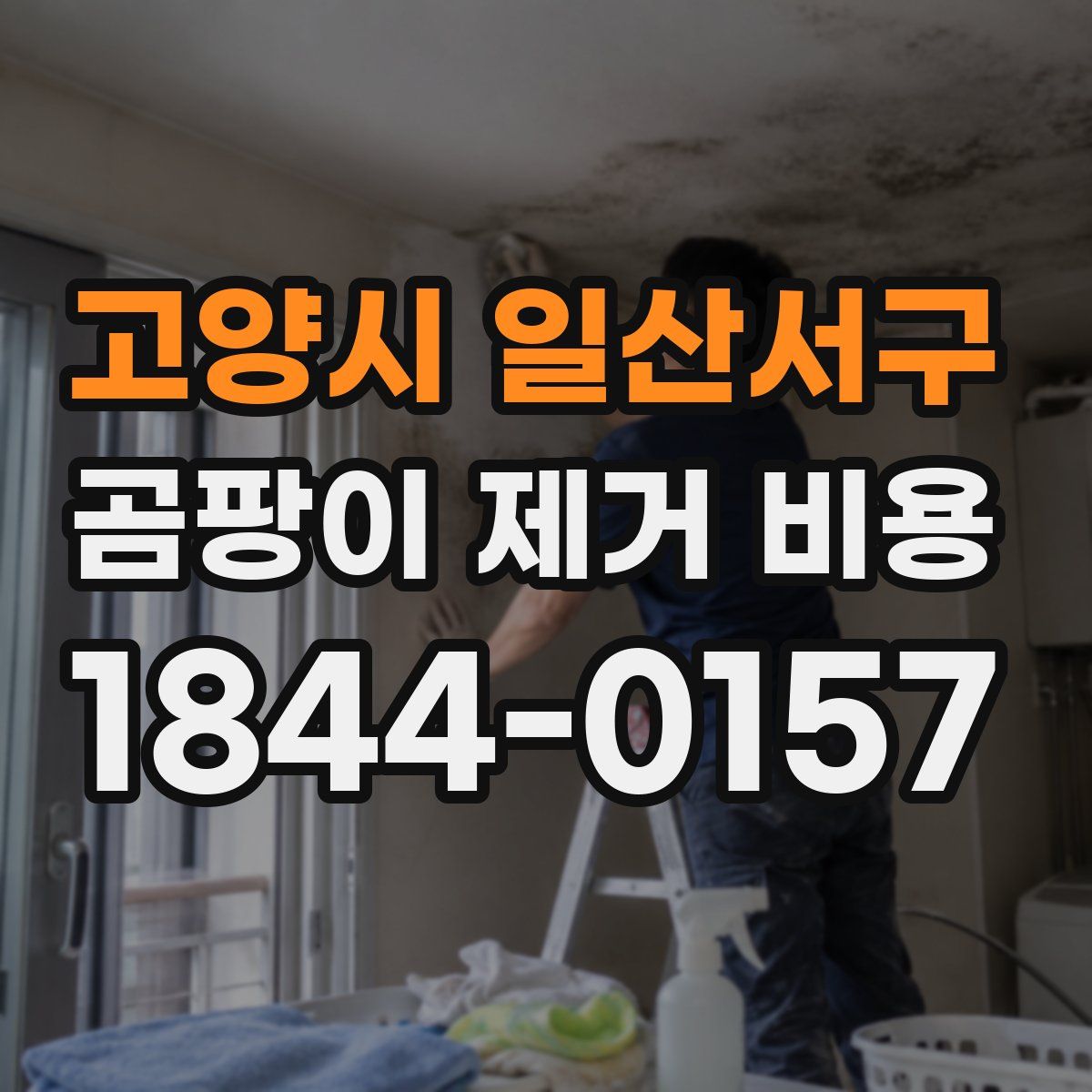 고양시 일산서구 곰팡이 제거 비용