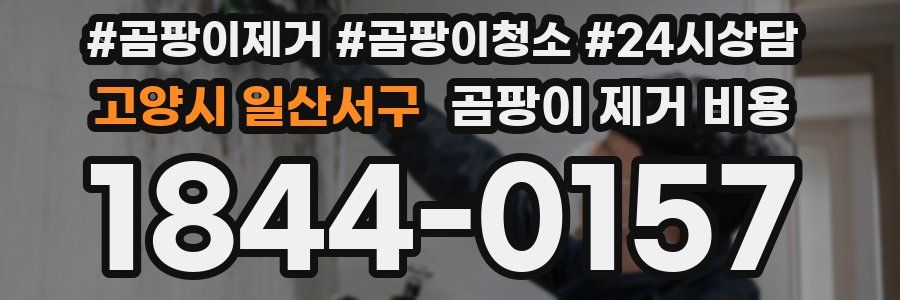 고양시 일산서구 곰팡이 제거 비용