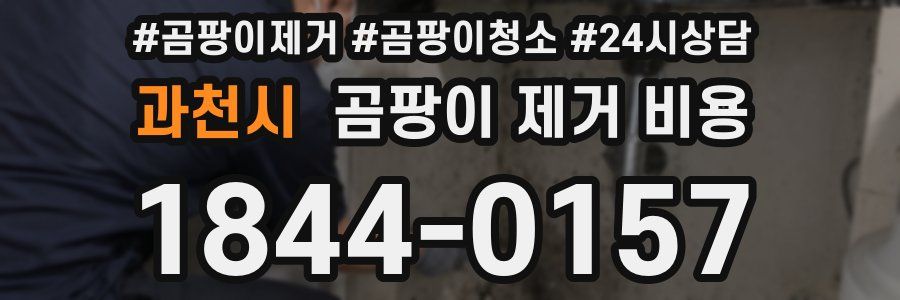 과천시 곰팡이 제거 비용