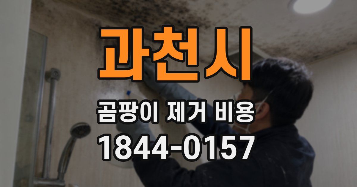과천시 곰팡이 제거 비용