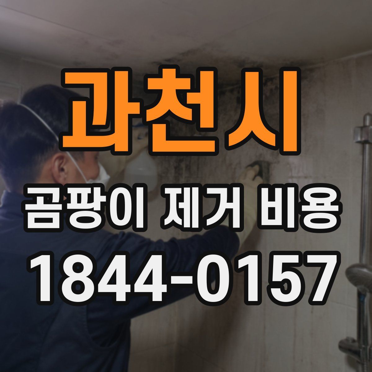 과천시 곰팡이 제거 비용