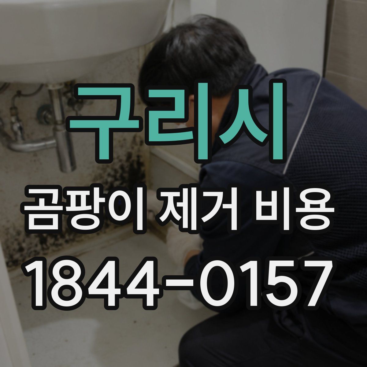 구리시 곰팡이 제거 비용