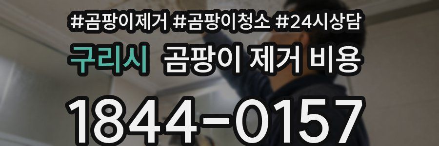 구리시 곰팡이 제거 비용