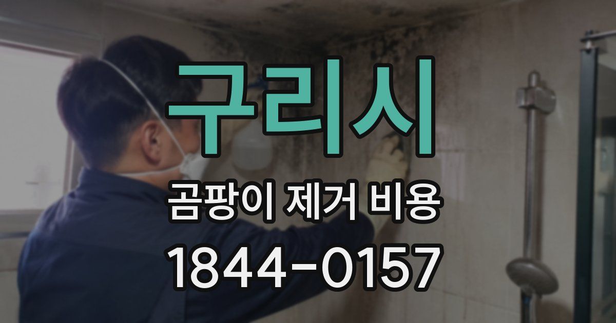 구리시 곰팡이 제거 비용