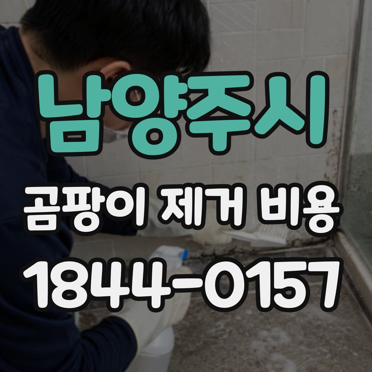 남양주시 곰팡이 제거 비용