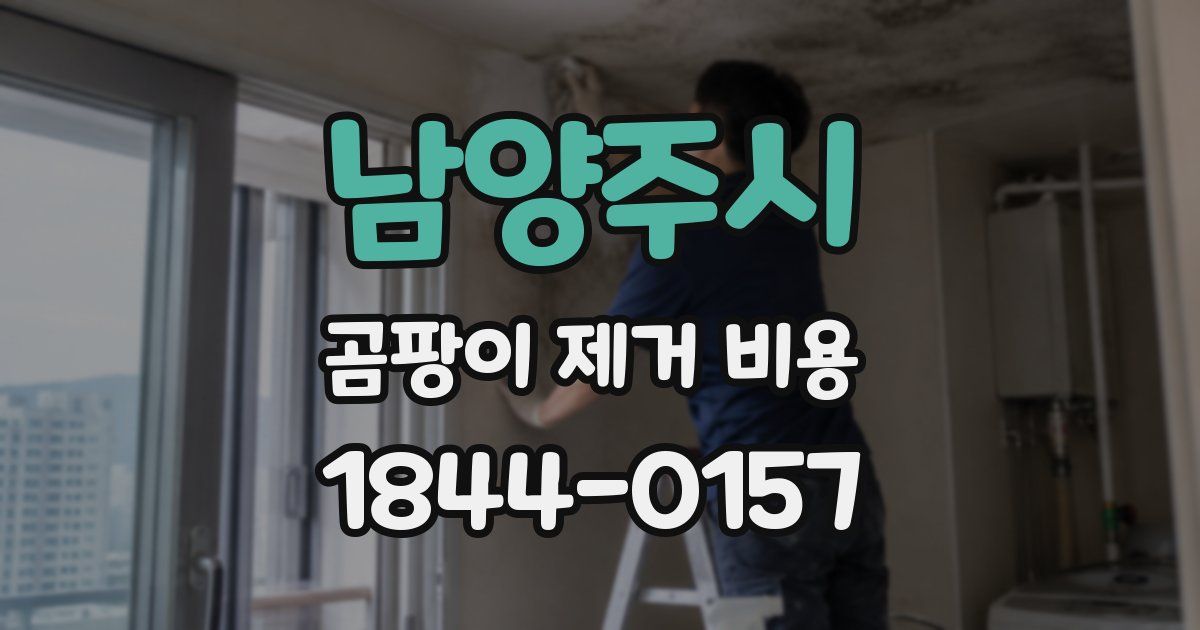 남양주시 곰팡이 제거 비용