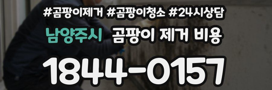 남양주시 곰팡이 제거 비용